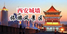 熟女美鲍中国陕西-西安城墙旅游风景区